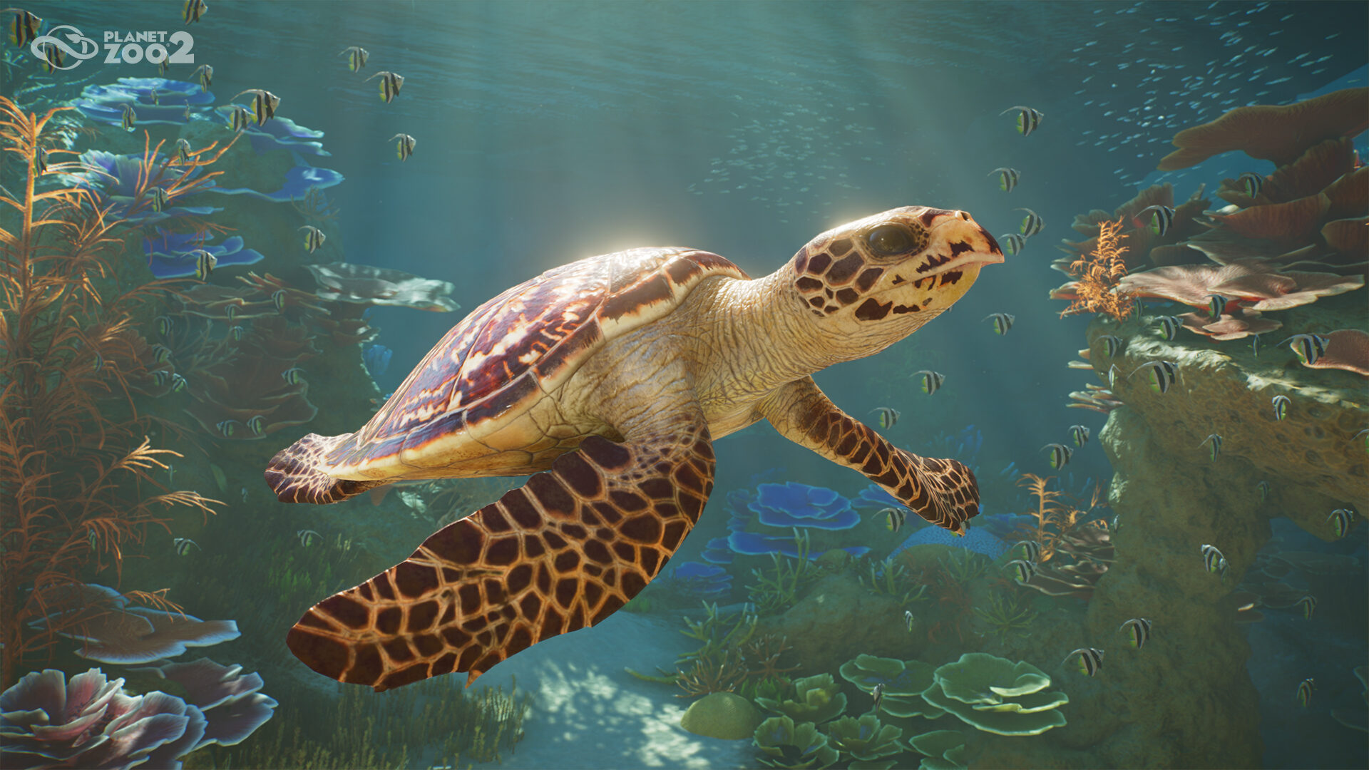 Exciting Features of Planet Zoo 2: What to Expect